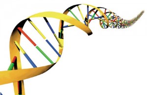Dublu test – detectarea anomaliilor cromozomiale