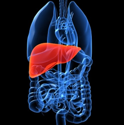 Hepatita in sarcina