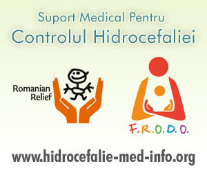 FRODO – Foundation for the Relief of Disabled Orphans