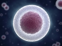 celula-stem-5