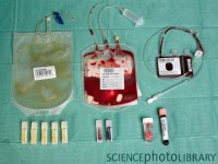 Cord blood for stem cell harvesting