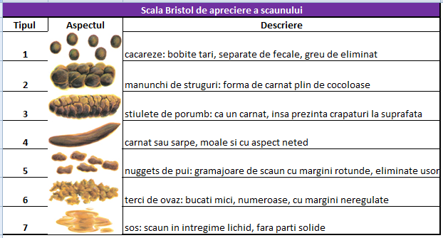 scala-bristol-de-apreciere-a-scaunului