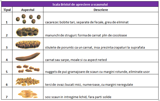 scala-bristol-de-apreciere-a-scaunului