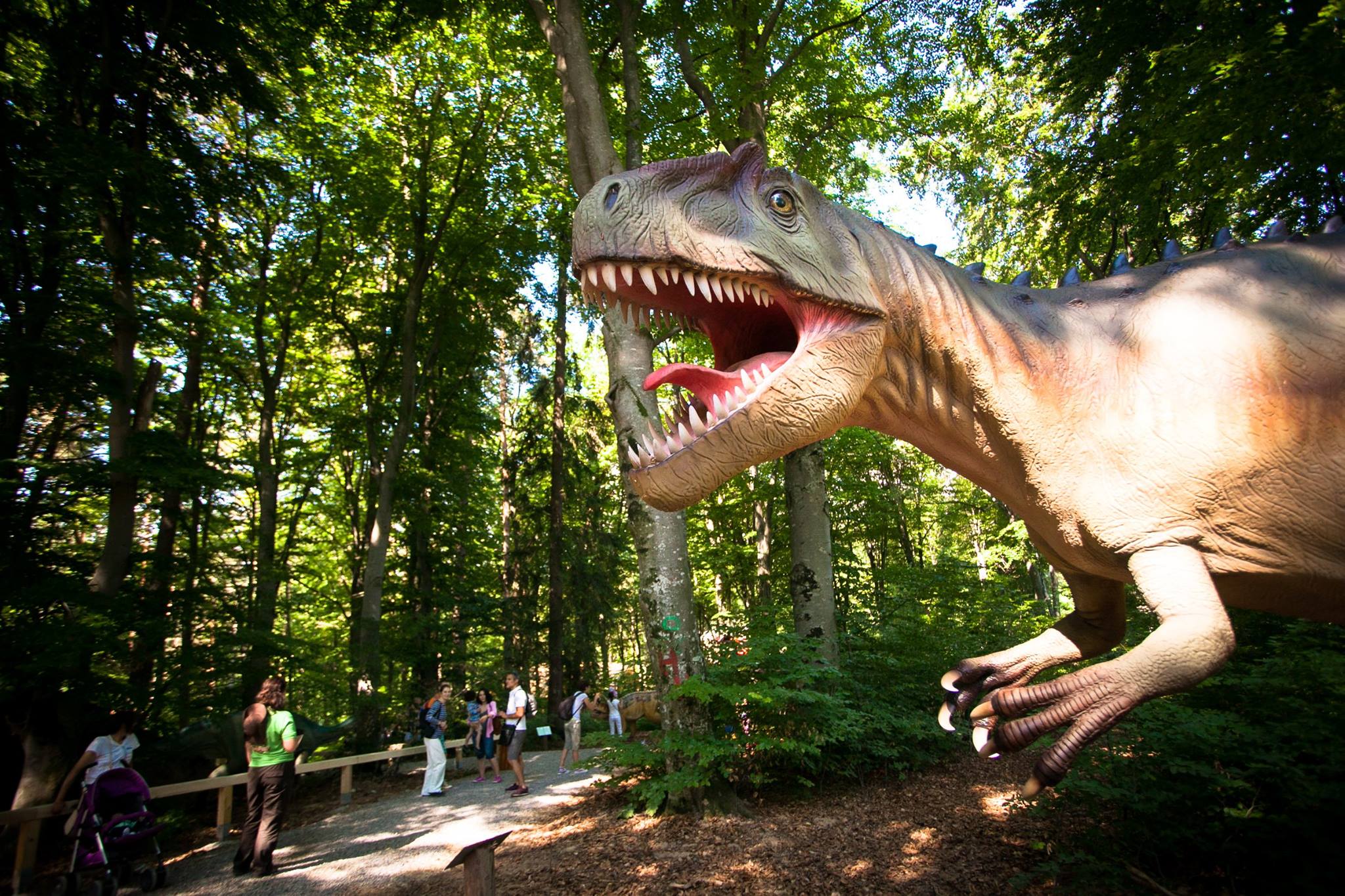 Lumea dinozaurilor te asteapta la Dino Parc Rasnov