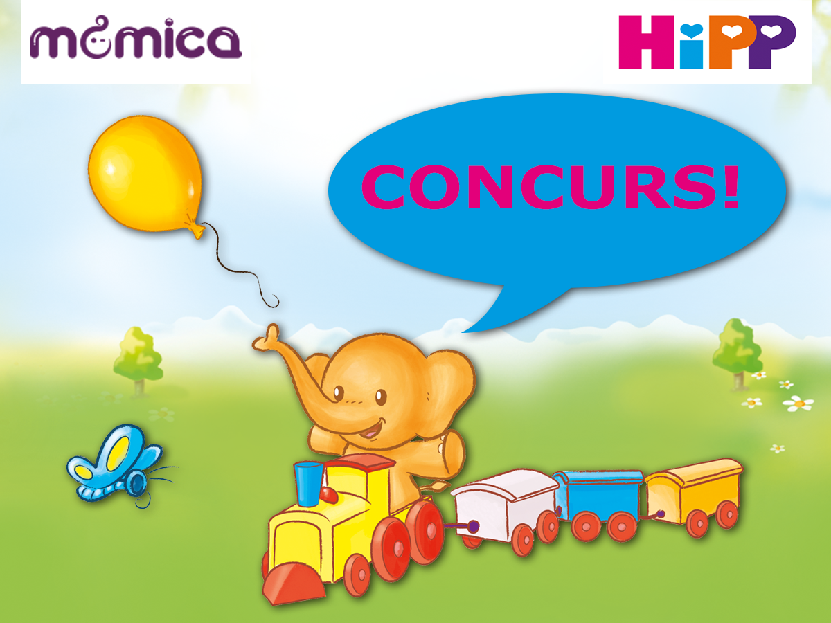 Regulament Concurs Hipp