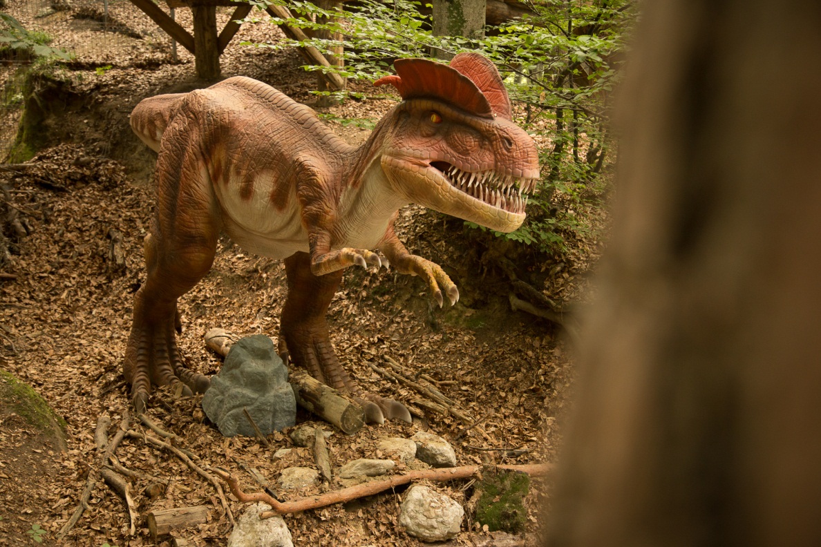 Vacanta plina de aventura alaturi de dinozauri