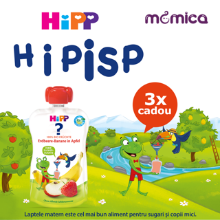 Regulament concurs Hipp